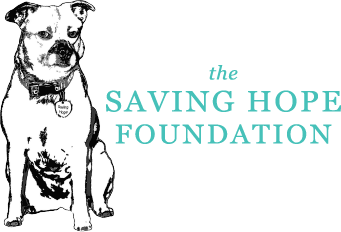 Saving hope logo