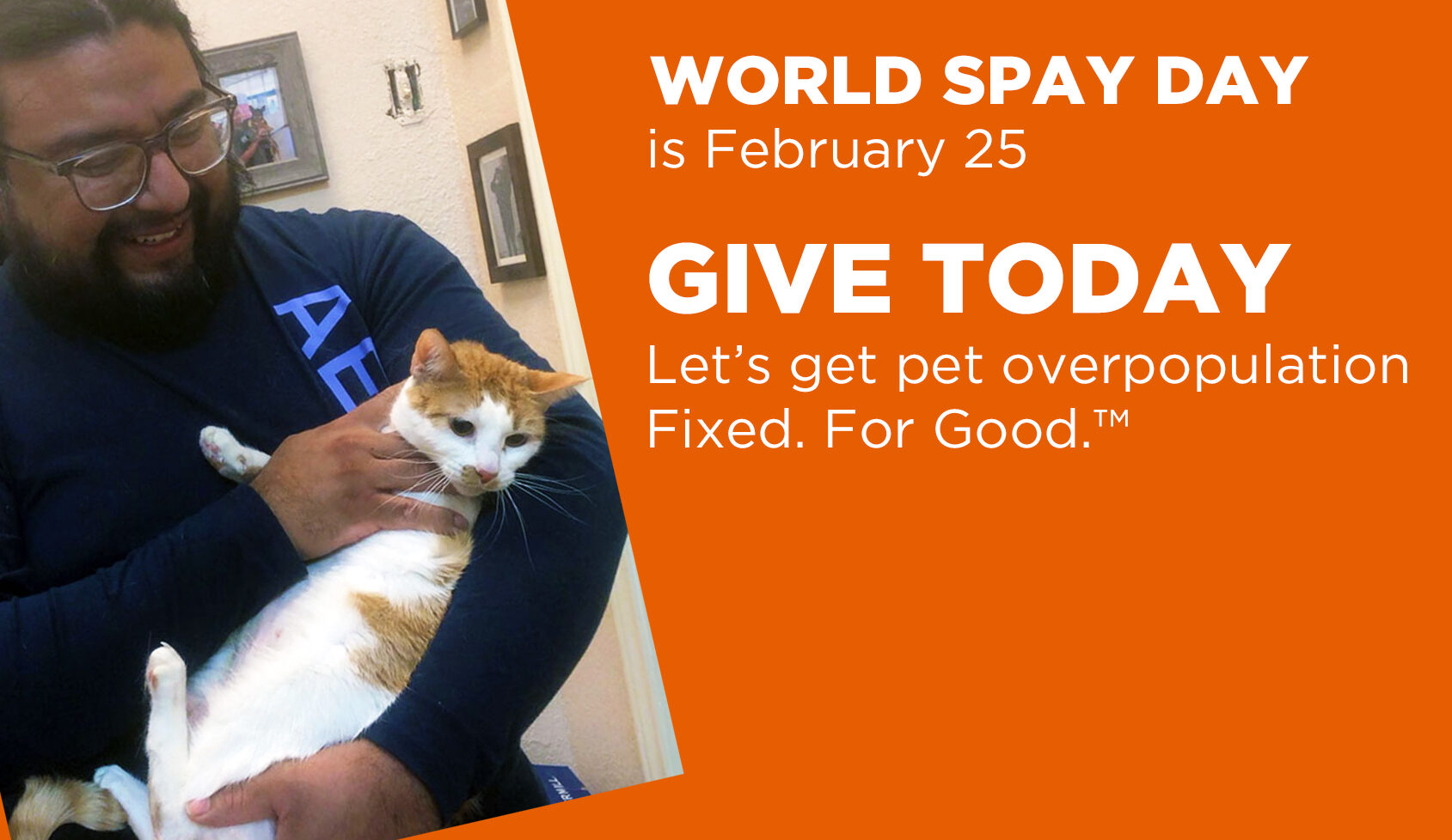 Give for World Spay Day