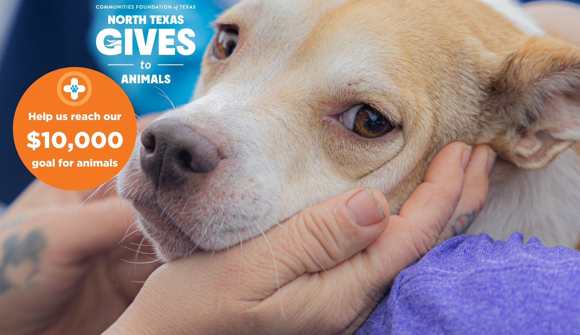 North Texas Gives to Animals