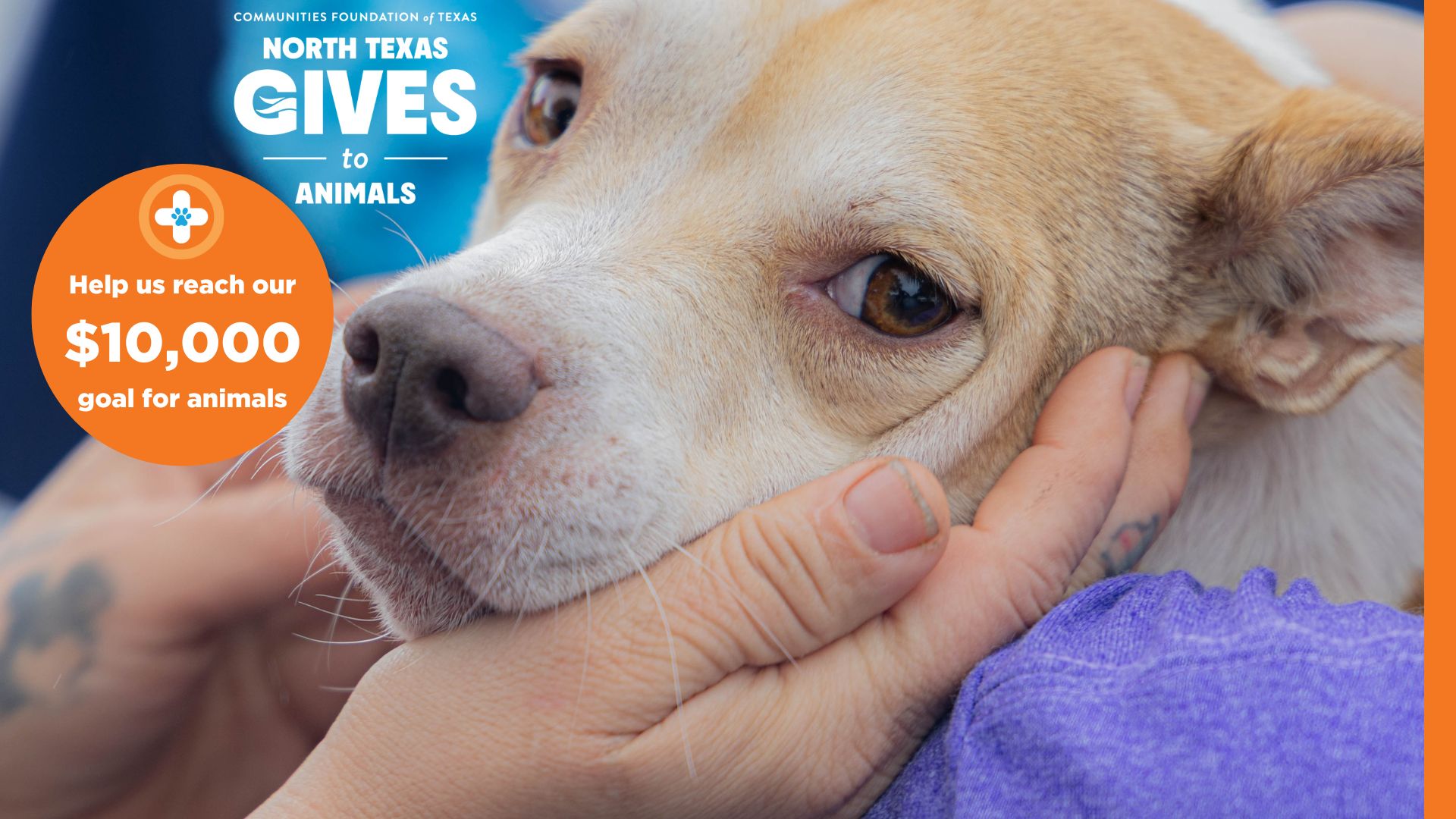 North Texas Gives to Animals