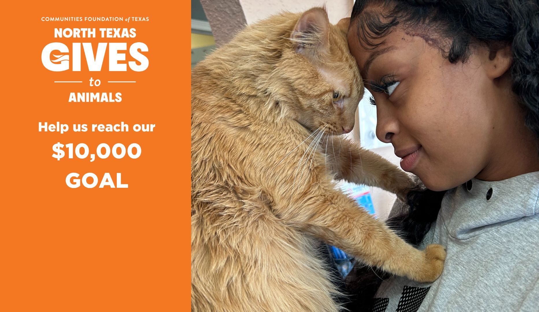 North Texas Gives to Animals