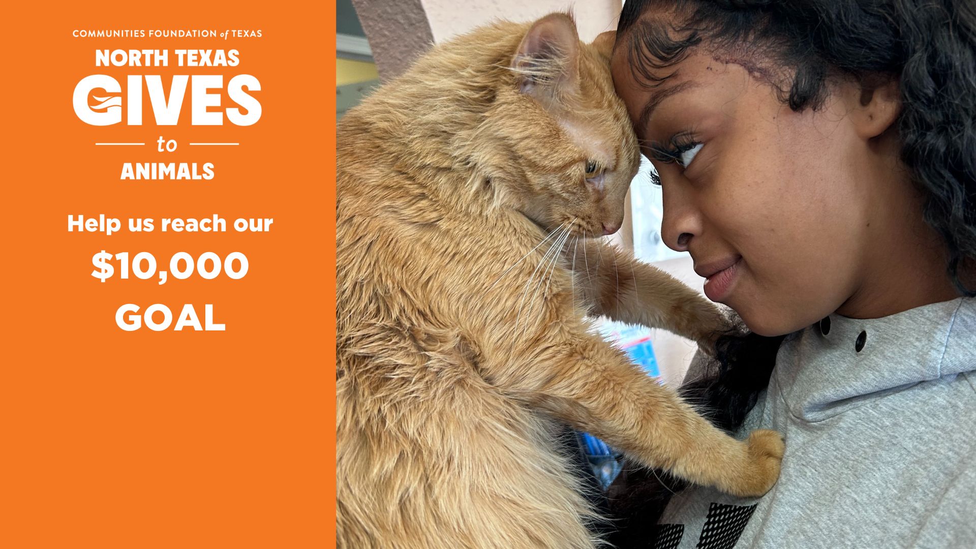 North Texas Gives to Animals